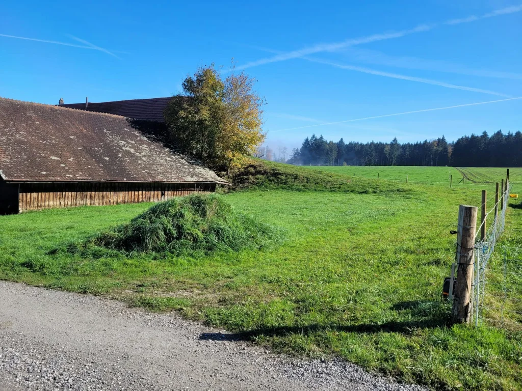 Abgelegene Idylle in Moorwilen