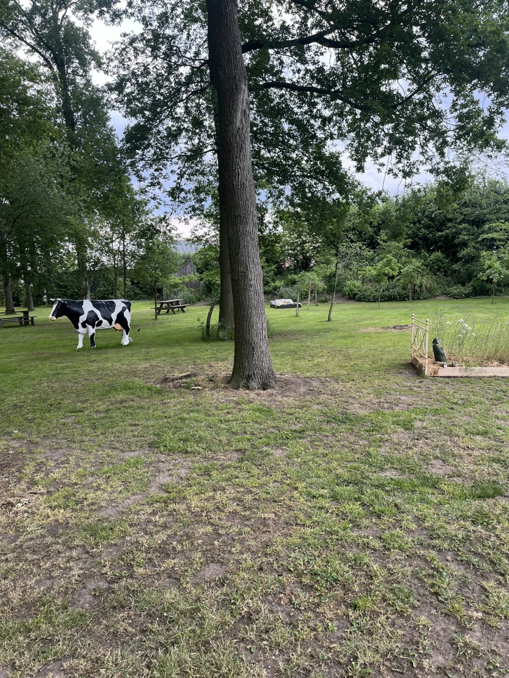 Stellplatz im Eichen Wald