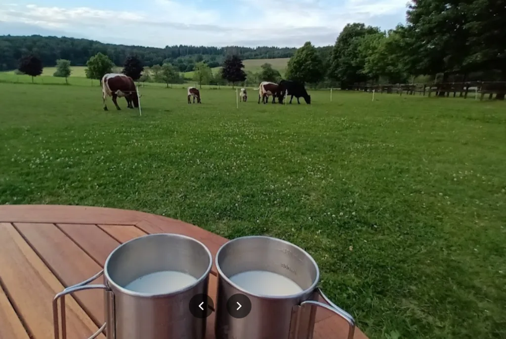 Römerhof in der Vulkaneifel