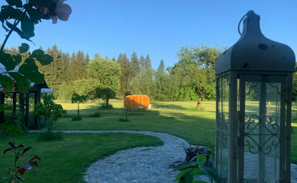 zwischen Obstbäumen mit Waldblick