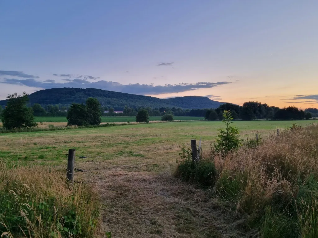 Weide mit Ausblick zum Ith