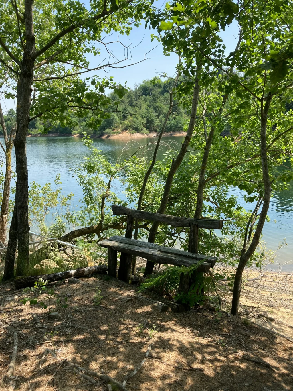 Cabin Lake
