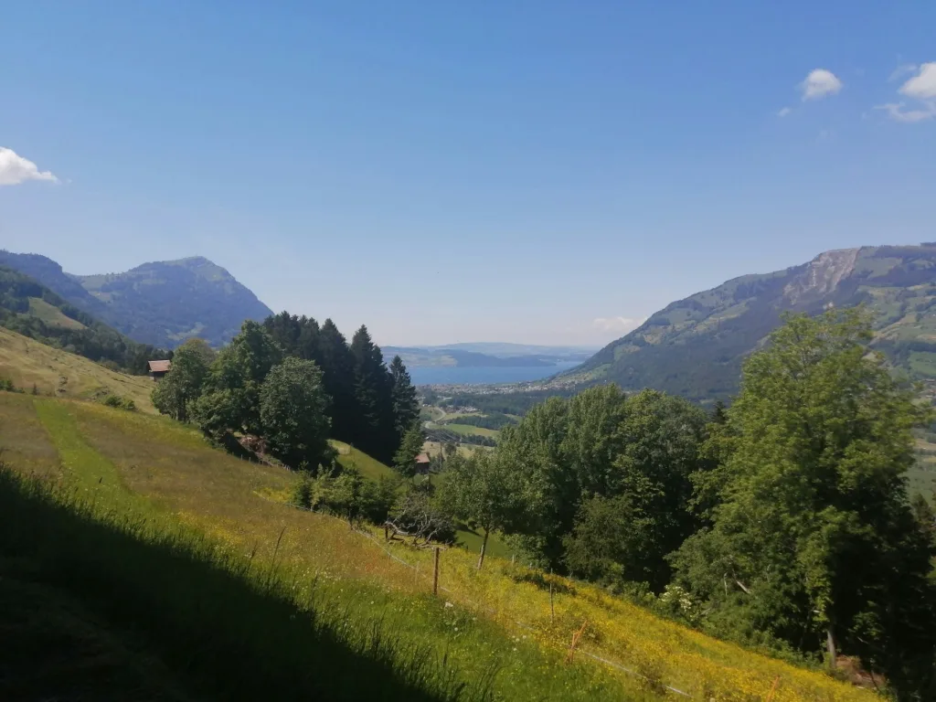 Panorama Seesicht