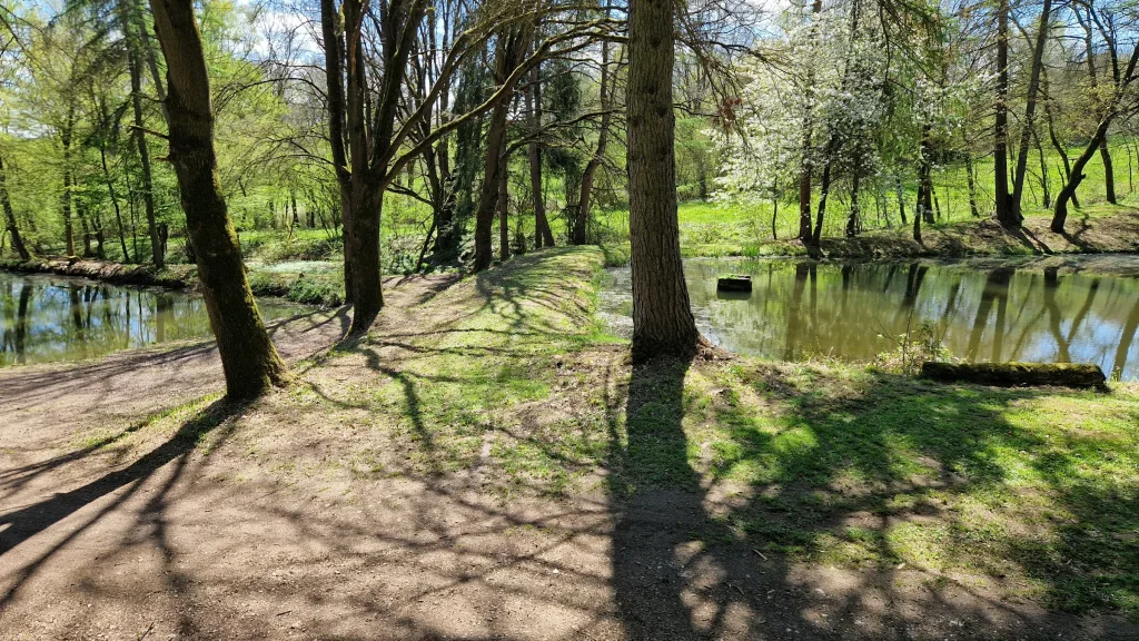 Teich im Wald, sehr ruhig 25000m2