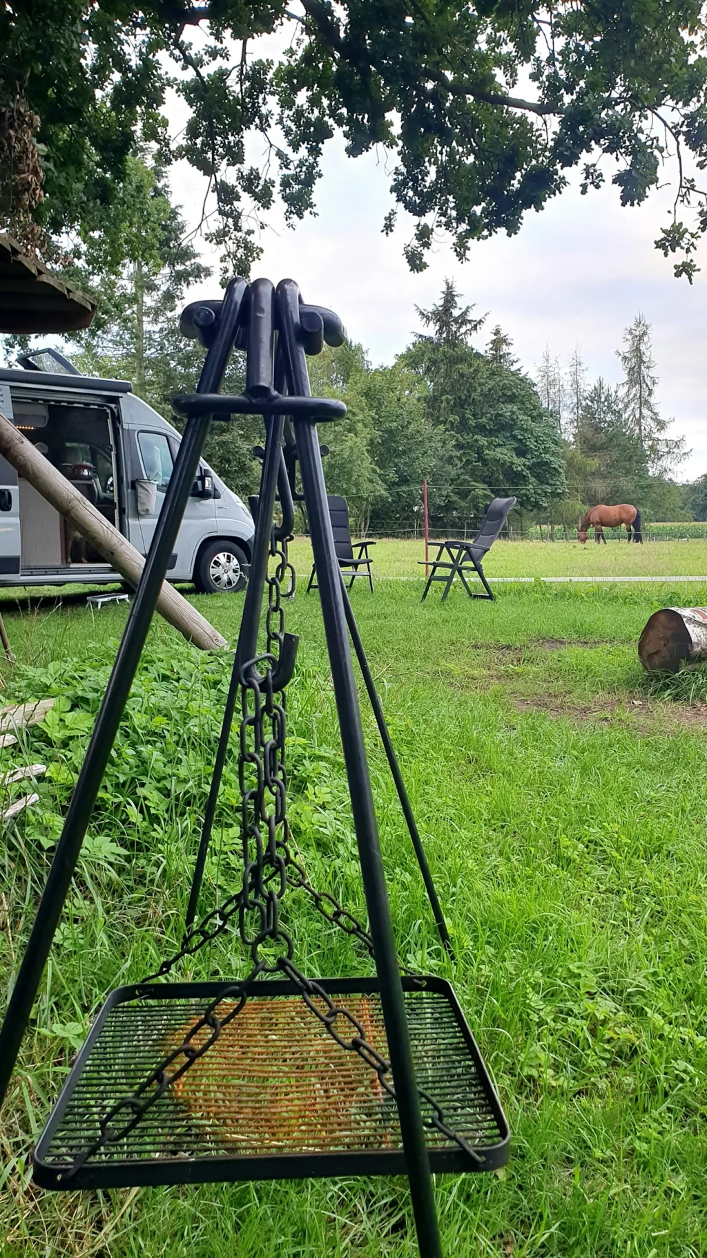 Wiese hinterm Haus neben Pferden