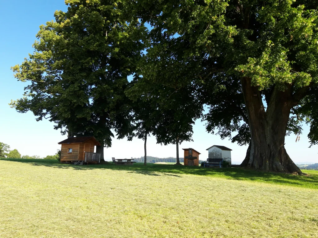 Honig-Linde Camp