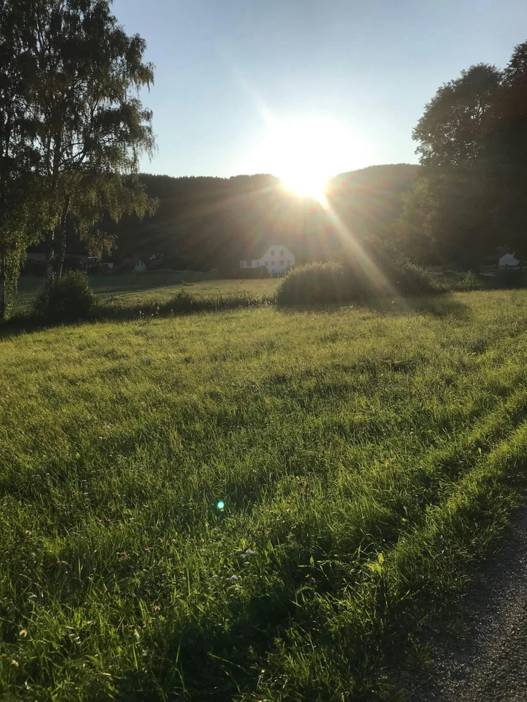 Fetzerhof