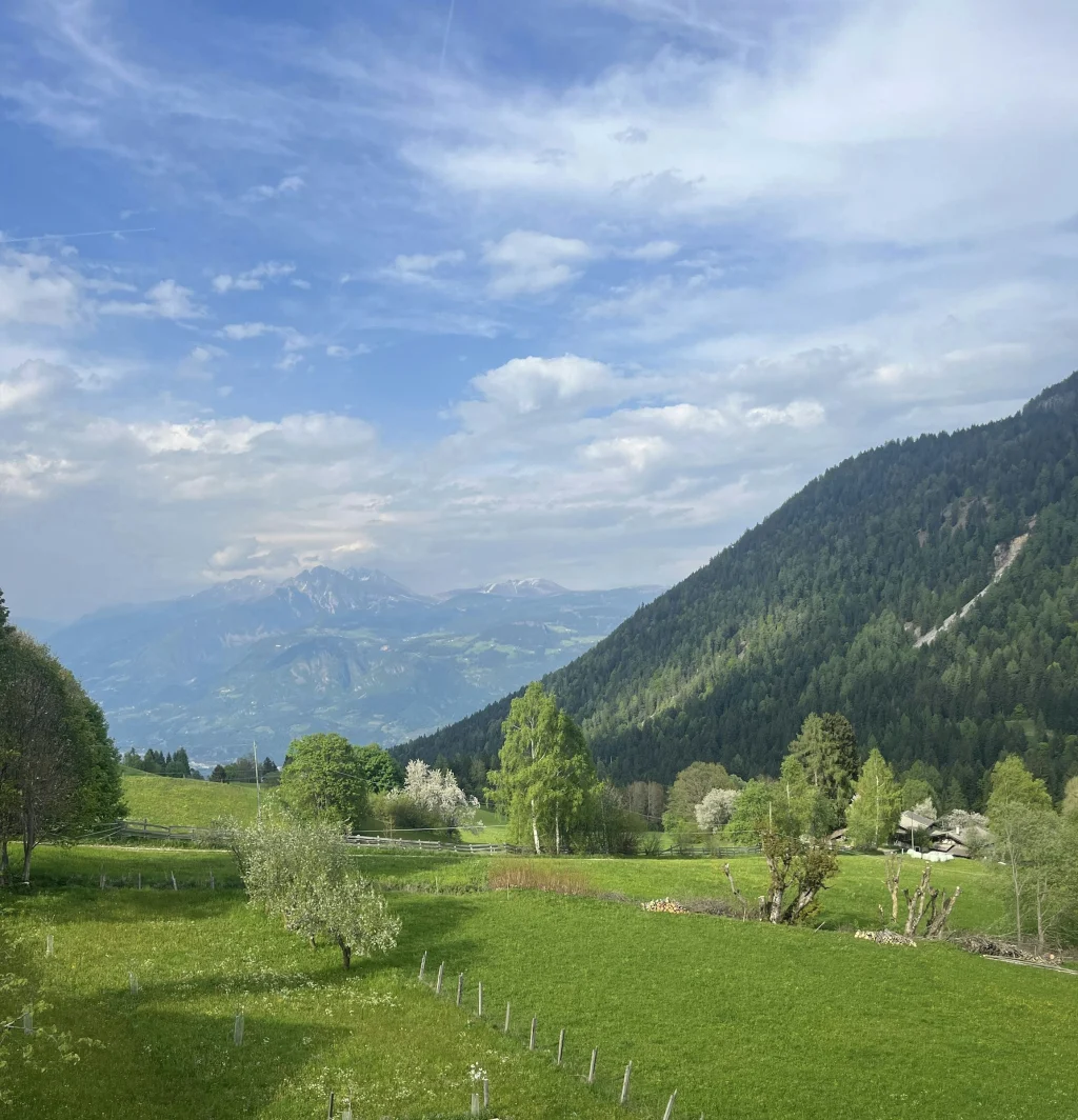 Artenreiche Blumenwiese in Südtirol