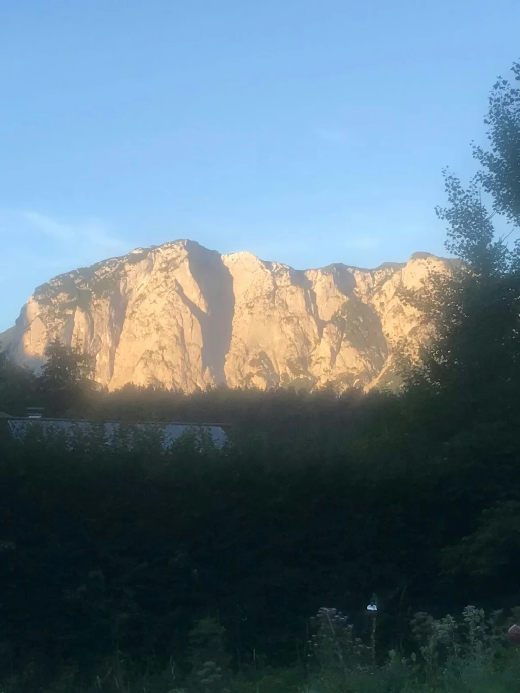Ruhiger Platz mitten in der Natur