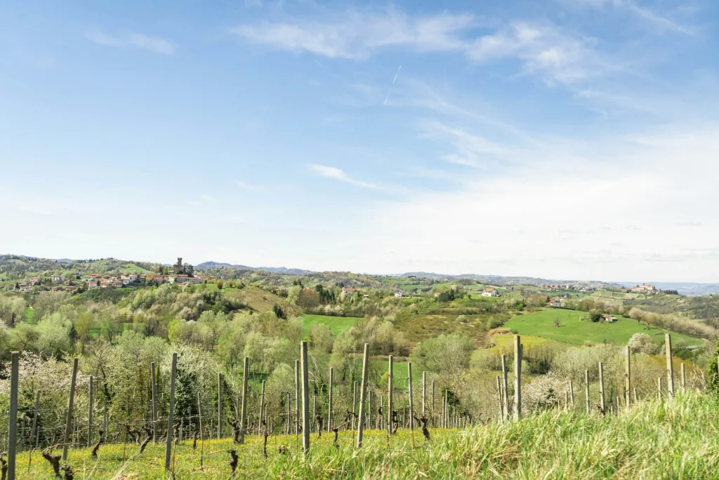 Camp La Signorina