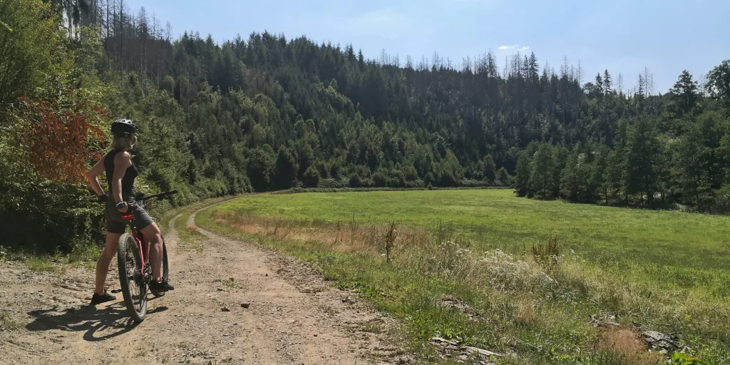 Tolle Radstrecken in der Nähe