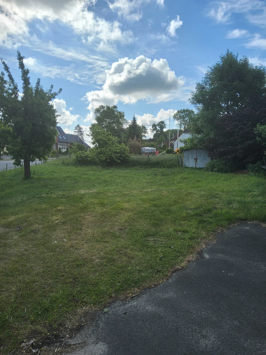 Wiese in Geversdorf an der Oste