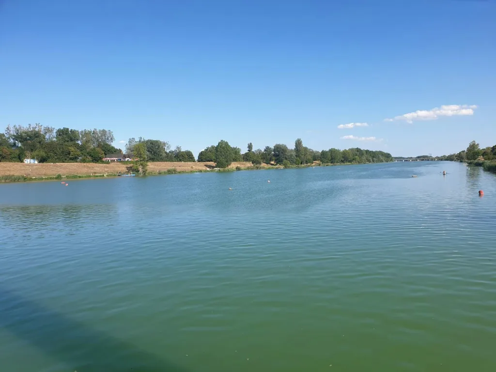 Natur pur in Wien, bei der Lobau