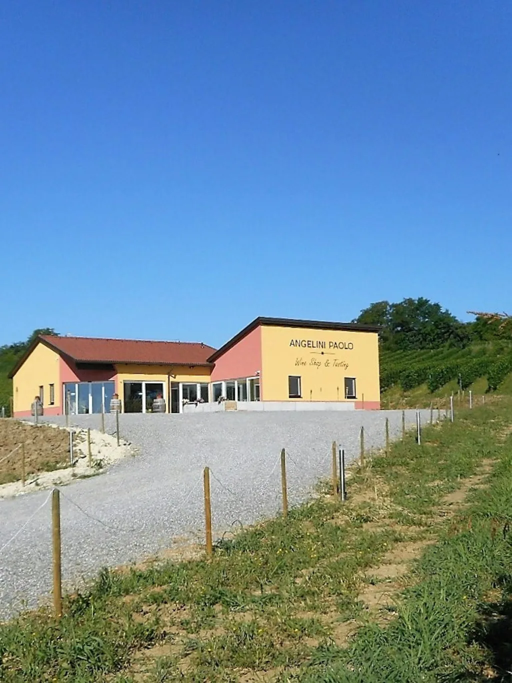 Camp Angelini Van