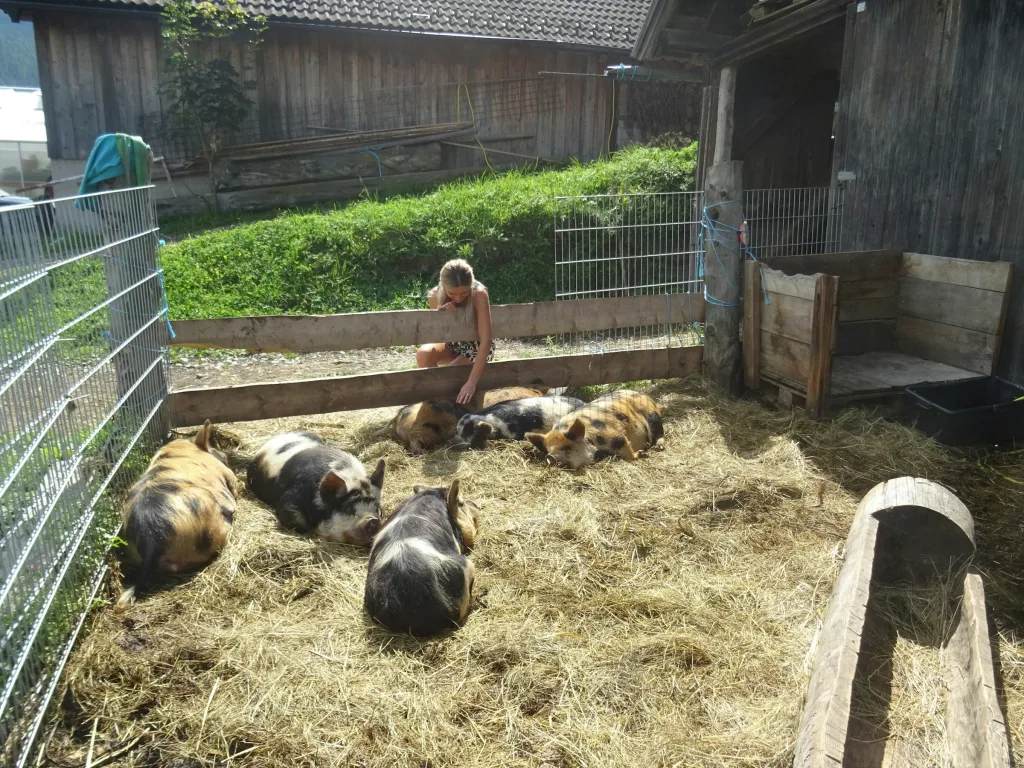 Tierische Nachbarschaft