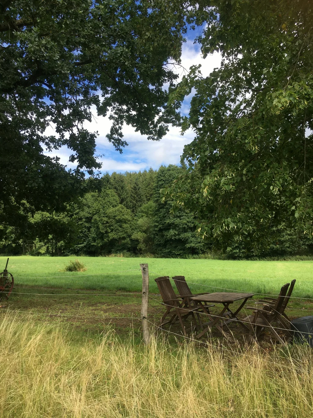 Bachtal im Frankenwald