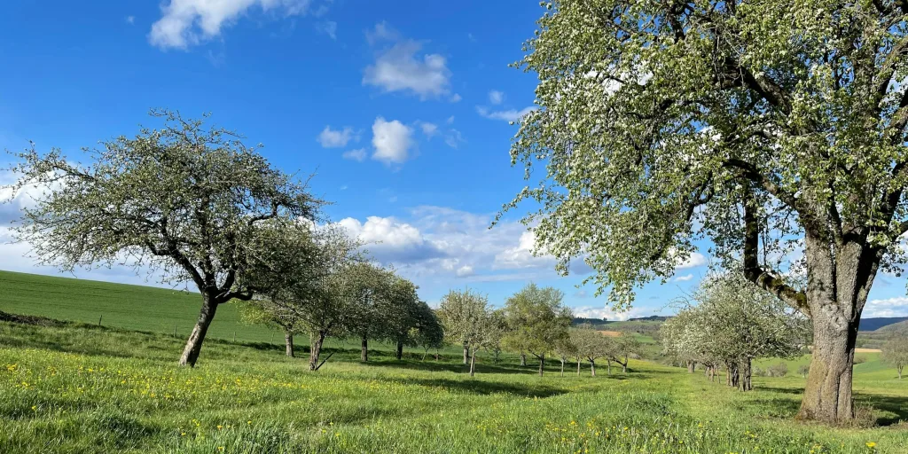 Im Idyllischen Baumgarten