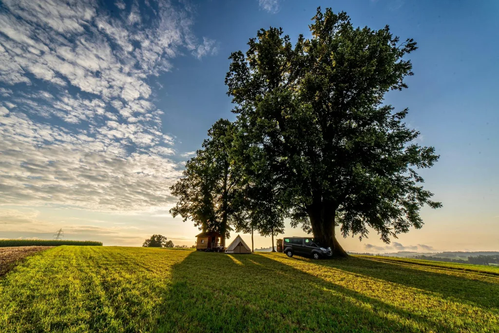Honig-Linde Camp