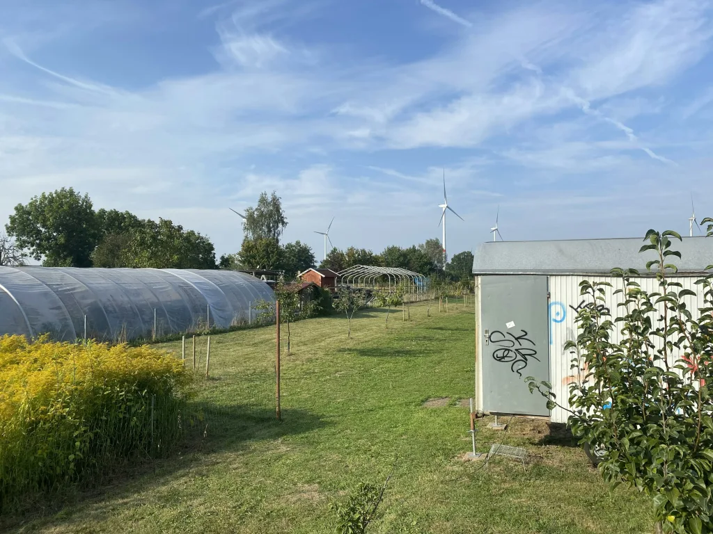 Wiese hinterm Haus