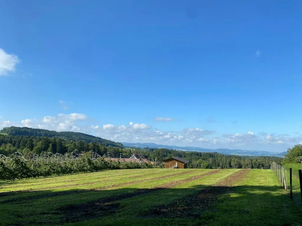 Bauernhof im schönen Thurgau
