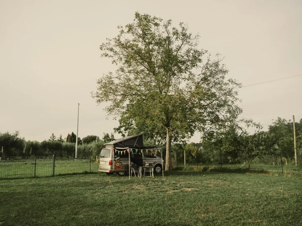 Green Camp