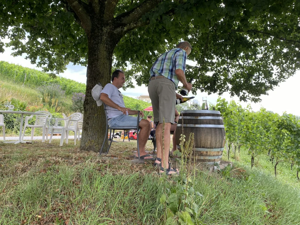 Weingut erleben
