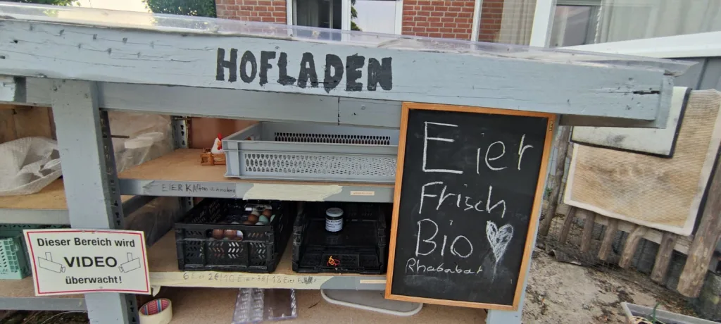 Zelten nahe Krautsand im Moor