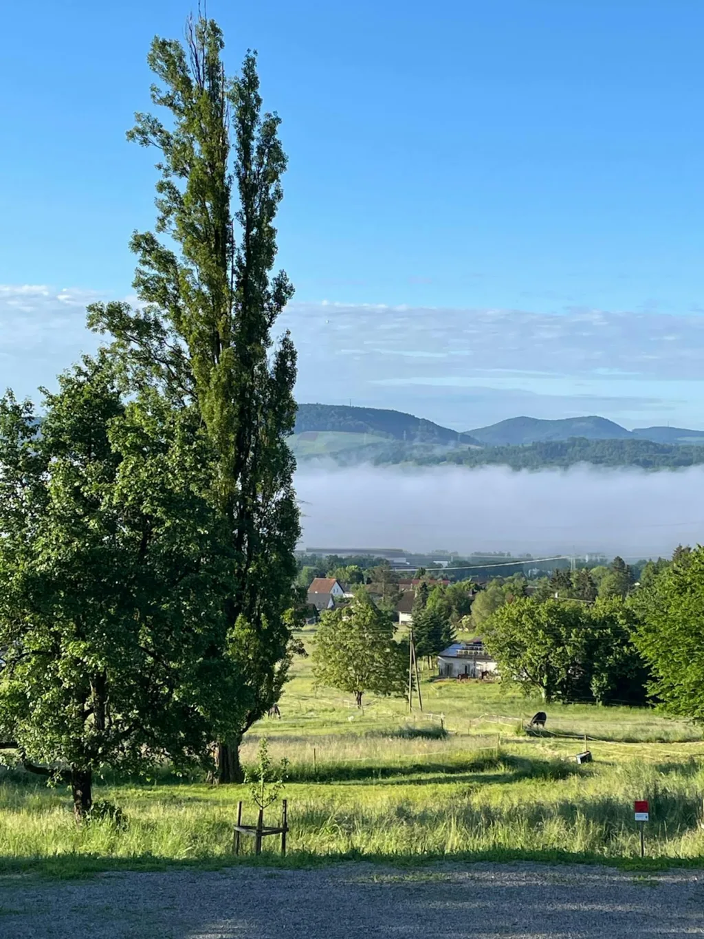 Campen mit Blick auf die Schweiz