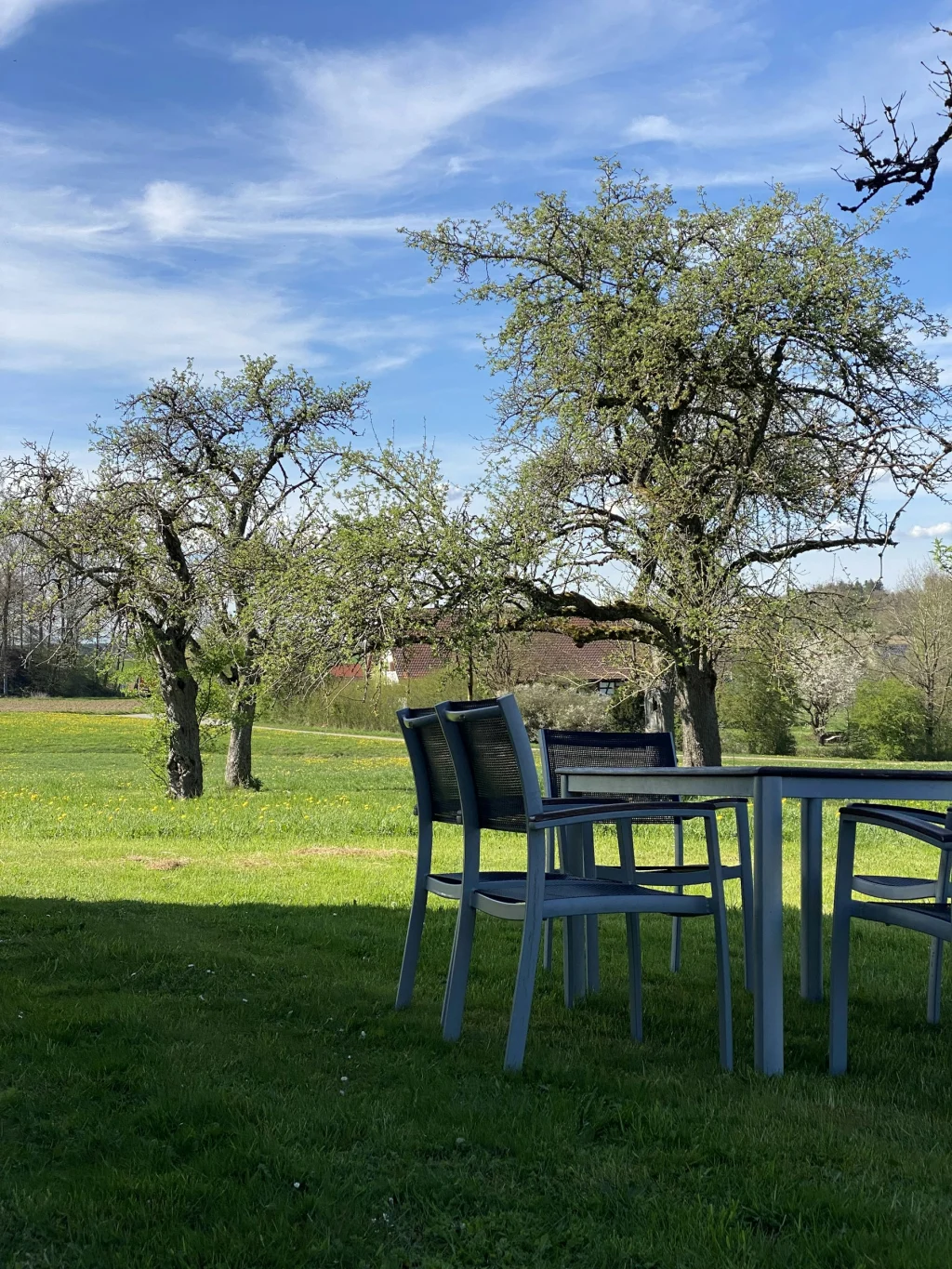 Wiese, Wald, Weitblick – Natur pur!