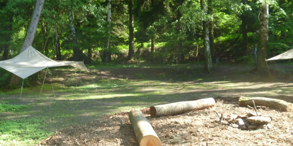 3000m² Waldgrundstück mit Bachlauf