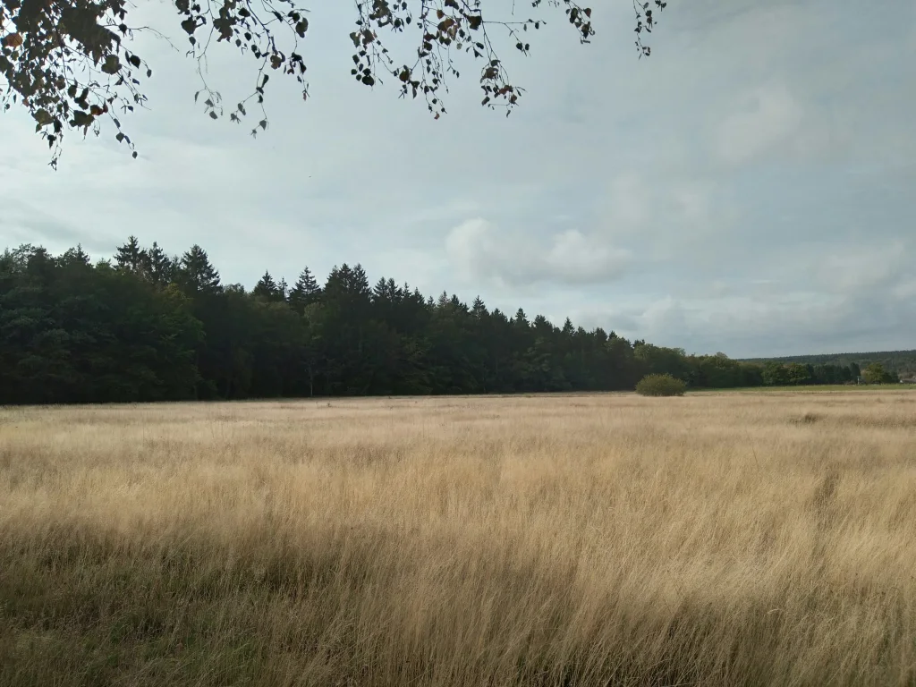 Idyllisches Plätzchen am Eifelsteig