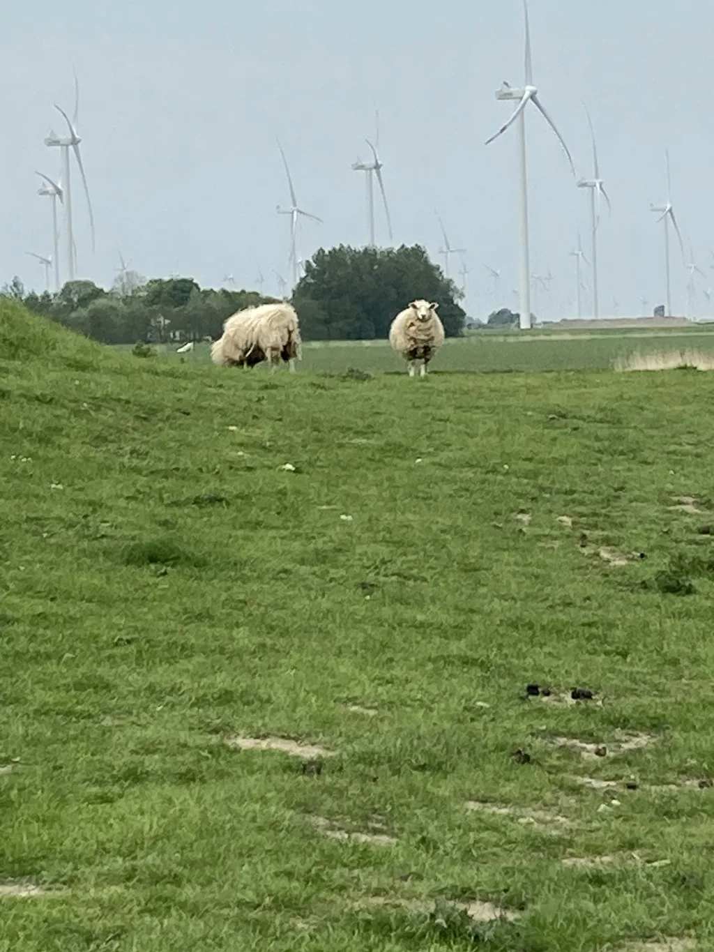 Lütte Pause - Nordseenah bei Husum
