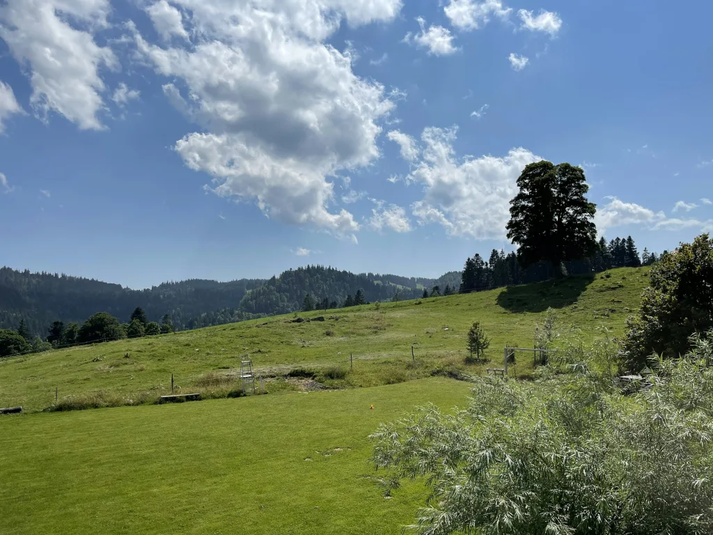 Camp Boinod