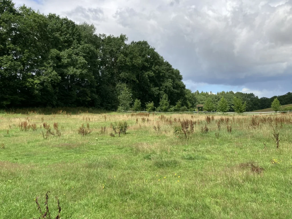 Erholung im Pferdeland