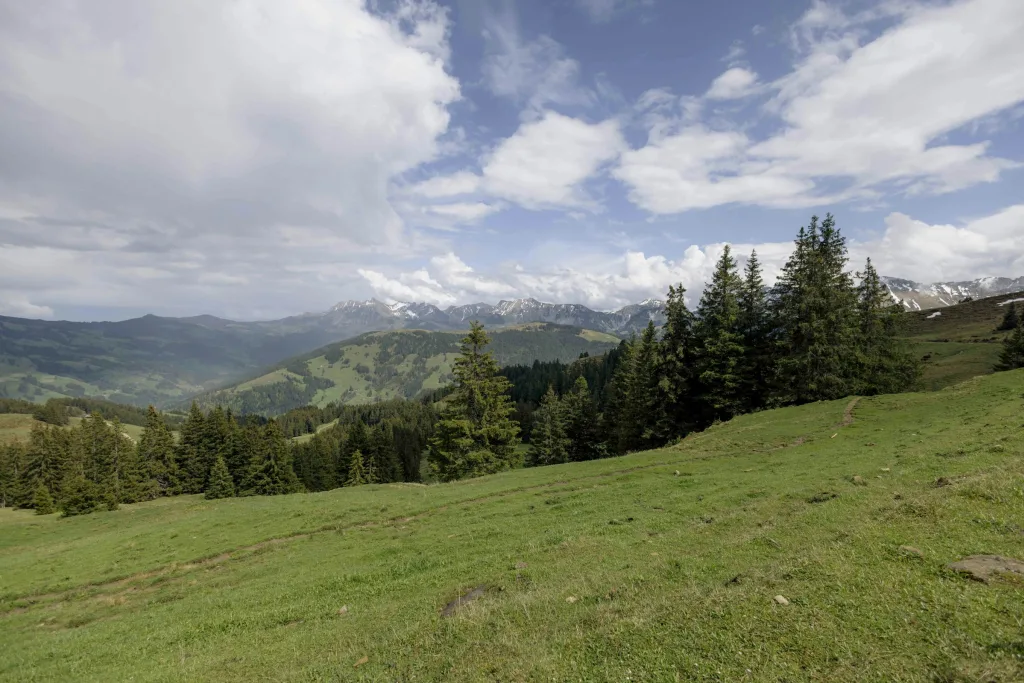 Alp Grosser Schwyberg.ch