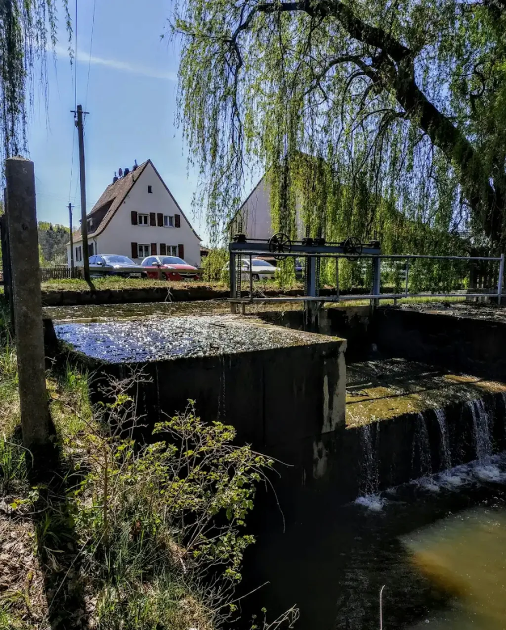 Auf der Koppel -  Nbg und Erlangen