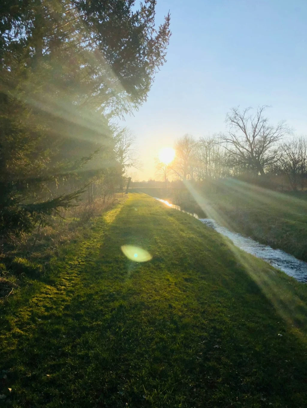 MV Sunrise Garden