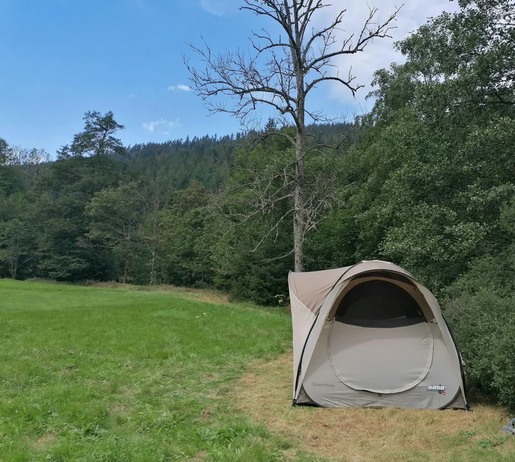Wiese am Bach beim Nationalpark