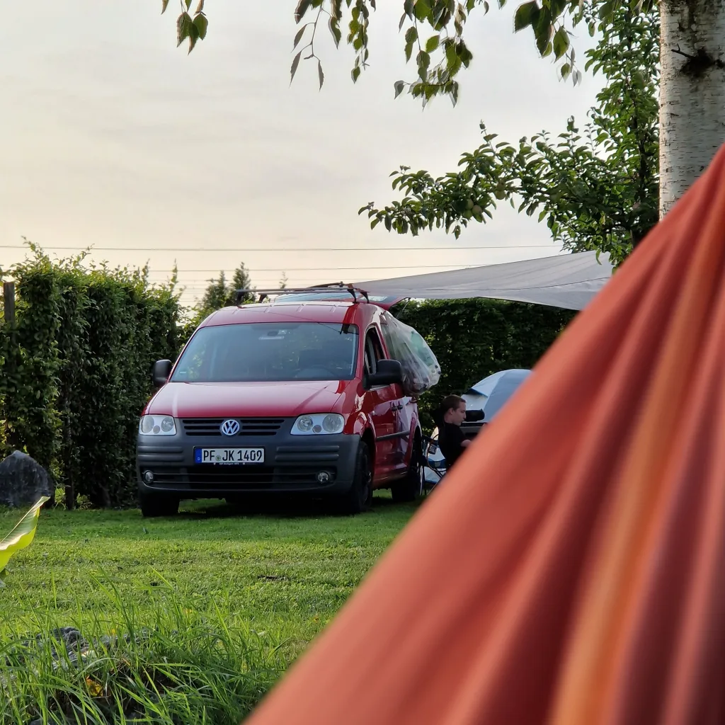 Profilbild von Jonas