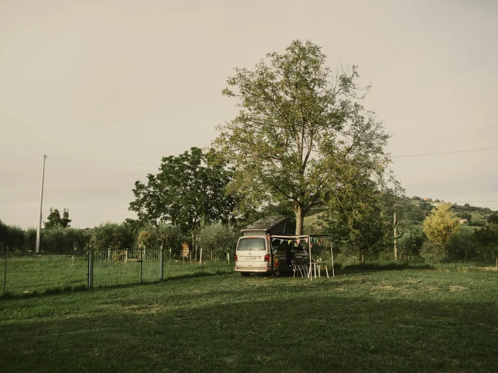 Green Camp