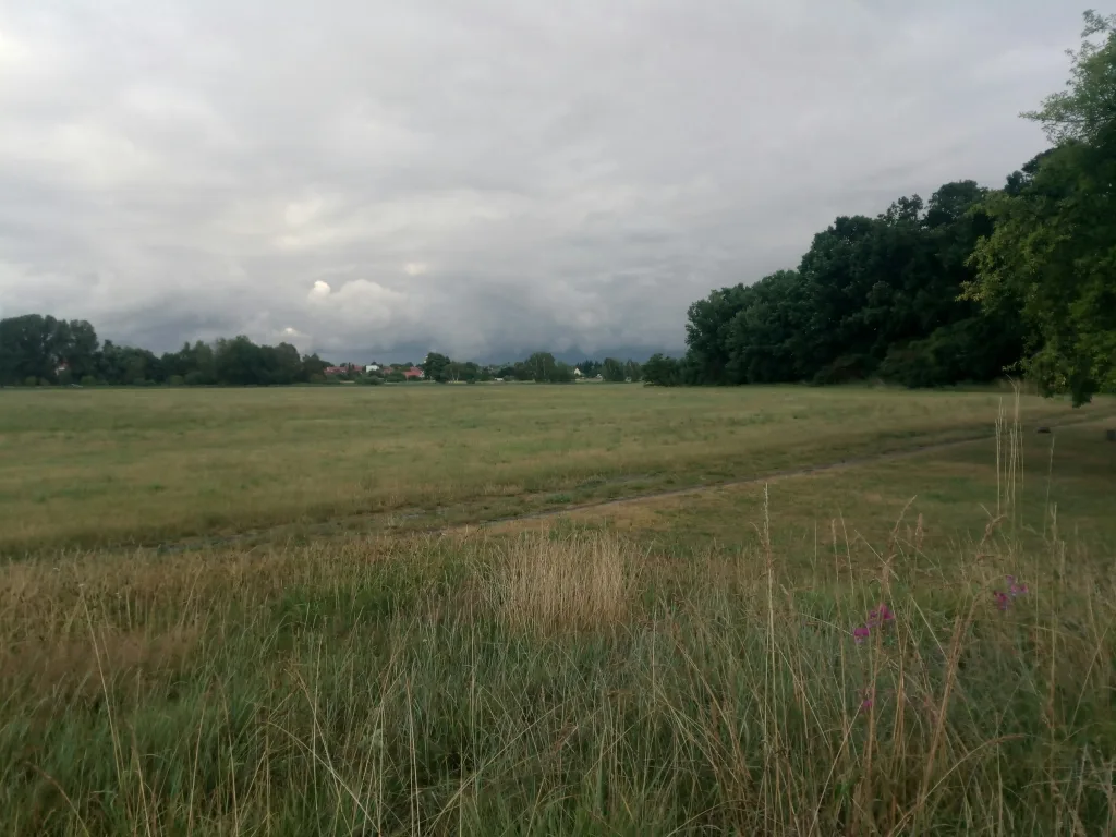 Schöne Wiese am Waldrand -  Niemegk