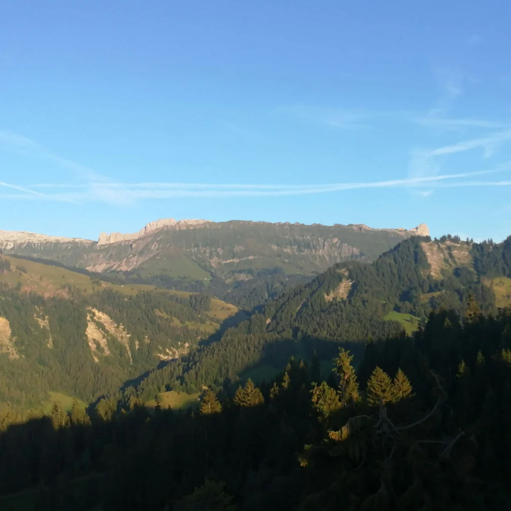 Camp "im Grünen"