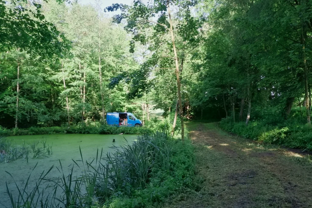 Holzplatz im Strudengau