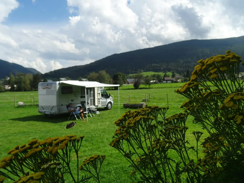 Tierische Nachbarschaft