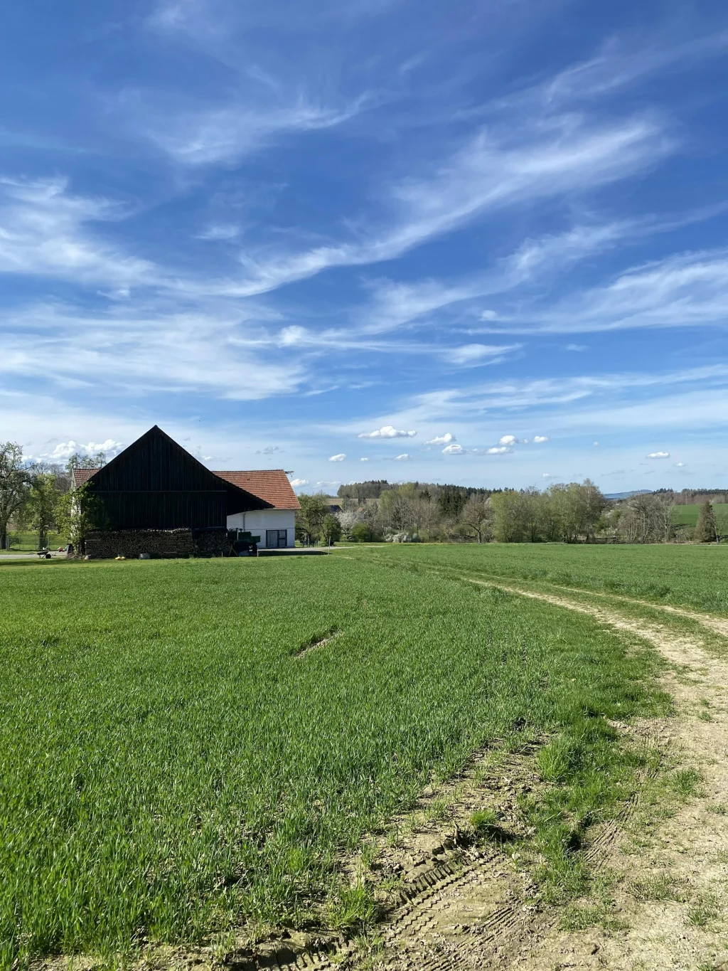 Wiese, Wald, Weitblick – Natur pur!