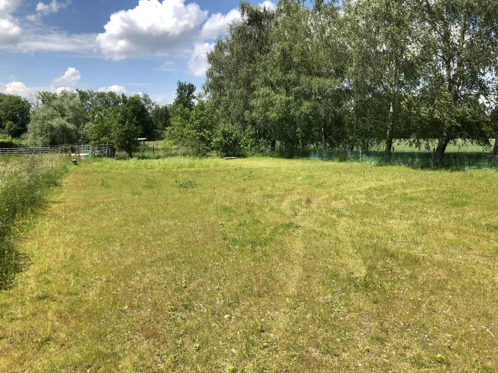 Schöner Platz  , mit Pferden.