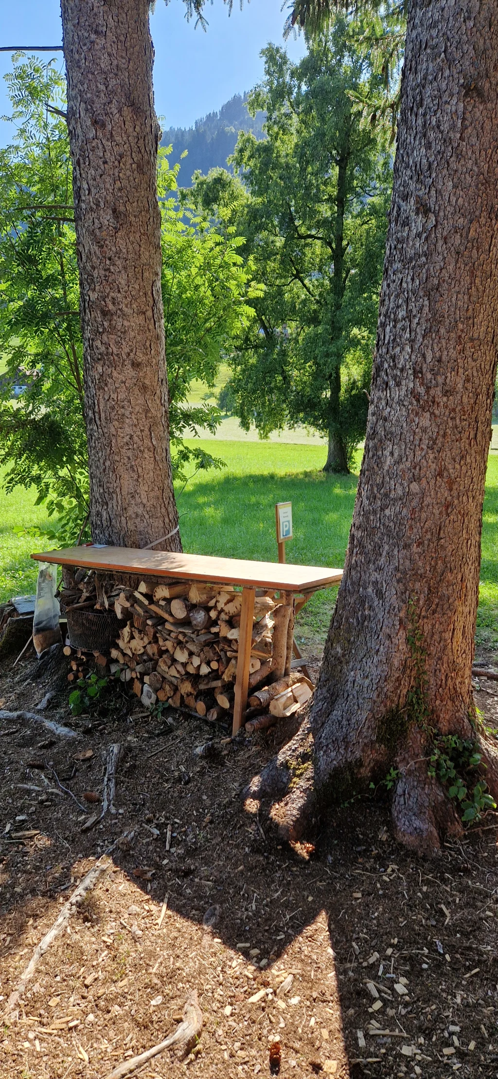 Neigers Waldplätzli