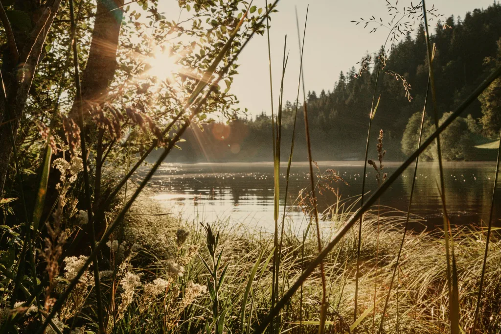 Ägelseeblick