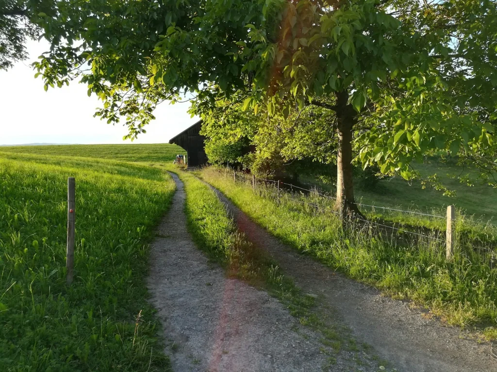 Beim alten Schürli