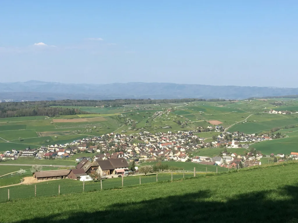 Champ vom Haldenhof